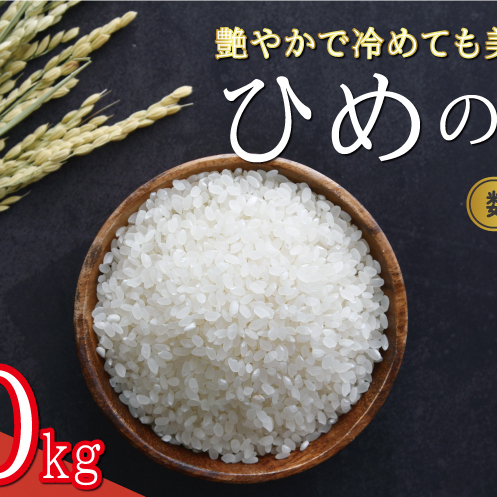 s\ V ߘa6NY Ђ߂ 20kg 34000~      Yn Y _ƒ Ԍ ʌ Yi s O t ߘa6NxY 2024NY Vi lC uh 嗱 