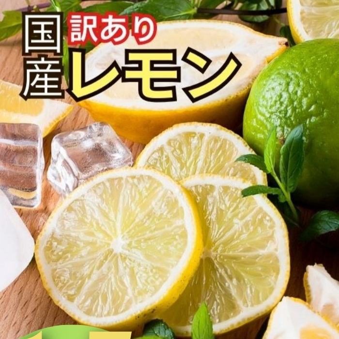 【訳あり】 レモン 訳あり 1.5kg 傷み補償 250g 5000円  愛媛 国産 柑橘 フルーツ 産地直送 皮ごと 皮まで食べられる ノーワックス 防腐剤不使用 減農薬 安心 安全 グリーンレモン イエローレモ