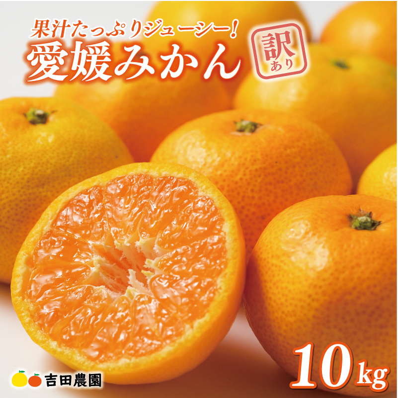 先行予約 訳あり 愛媛みかん 10kg 18000円 愛媛 みかん 温州みかん こたつ みかん mikan 蜜柑 ミカン 家庭用 産地直送 国産 農家直送 糖度 期間限定 数量限定 特産品 ゼリー ジュース アイス 人気