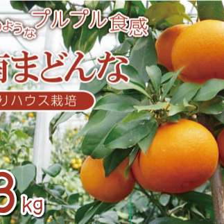 先行 予約 贈答用 愛南 まどんな 約3kg 【 赤秀品 】 みかん 20000円 愛果28号 紅まどんな 同品種 あいか アイカ 高級 人気 ブランド 柑橘 果物 フルーツ ハウス栽培 施設栽培 ギフト プレゼント