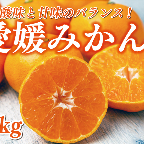 󂠂 Q݂ 5kg 7000~ Q ݂ B݂  ݂  ݂ B~J B mikan  ~J ƒp p Mtg v[g Ε Yn Y _ƒ x 
