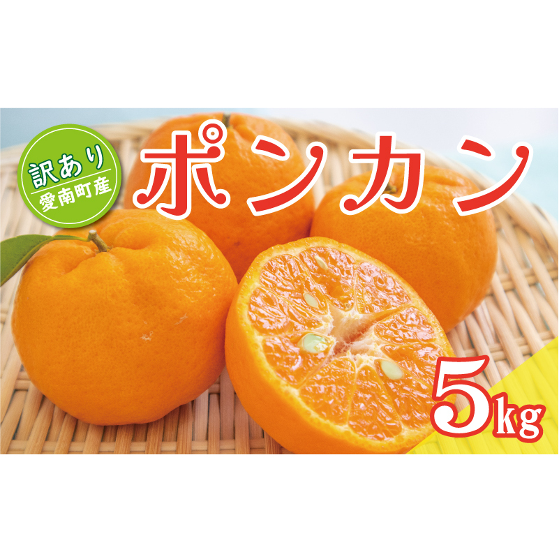 s\ 󂠂 |J 5kg 7000~ ۂ񂩂 ݂ mikan  ~J ƒp p Yn Y _ƒ x Ԍ ʌ Yi [[ W[X ACX lC  Â ʎ 