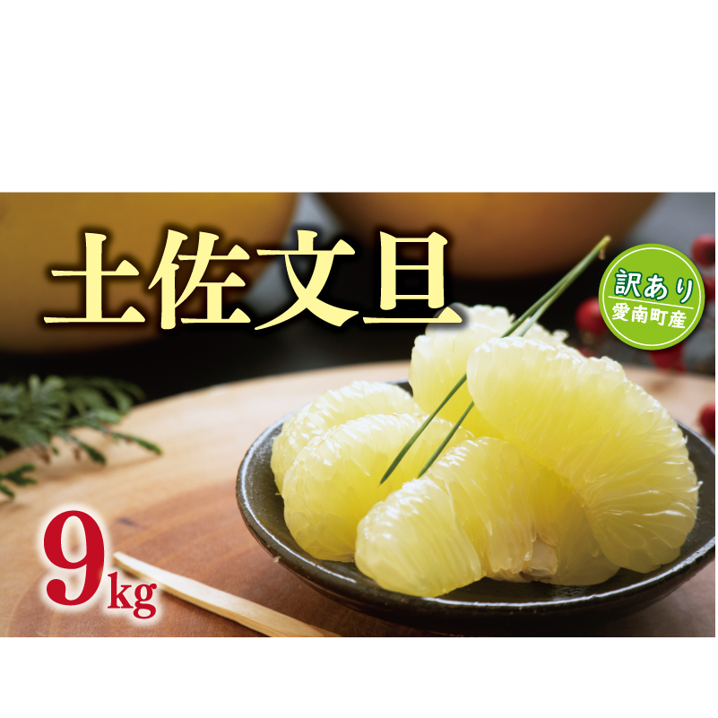 先行予約 訳あり 土佐 文旦 9kg 10000円 ぶんたん みかん mikan 蜜柑 ミカン 土佐文旦 家庭用 産地直送 国産 農家直送 糖度 期間限定 数量限定 特産品 ゼリー ジュース アイス 人気 限定 甘い 果実