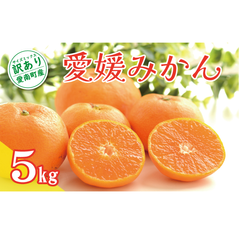 先行予約 訳あり 愛媛みかん 5kg 7000円 温州みかん こたつ みかん 温州 みかん mikan 蜜柑 愛媛 ミカン 完熟 家庭用 産地直送 国産 農家直送 糖度 期間限定 数量限定 特産品 ゼリー ジュース ア