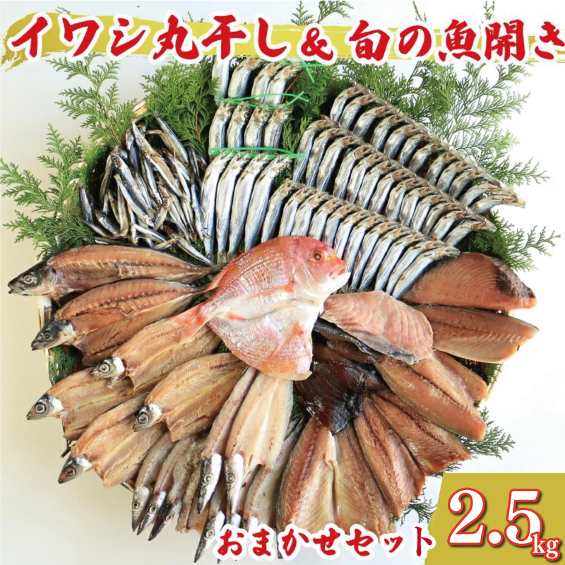 訳あり 魚の 丸干し & 開き おまかせ セット 2.5kg 10000円 魚 海鮮 干物 無添加 ひもの ひらき 詰め合わせ 冷凍 丸干し 鯵 アジ 鯖 さば サバ 鰹 かつお カツオ 鯛 たい タイ 鰯 いわし イワシ 切