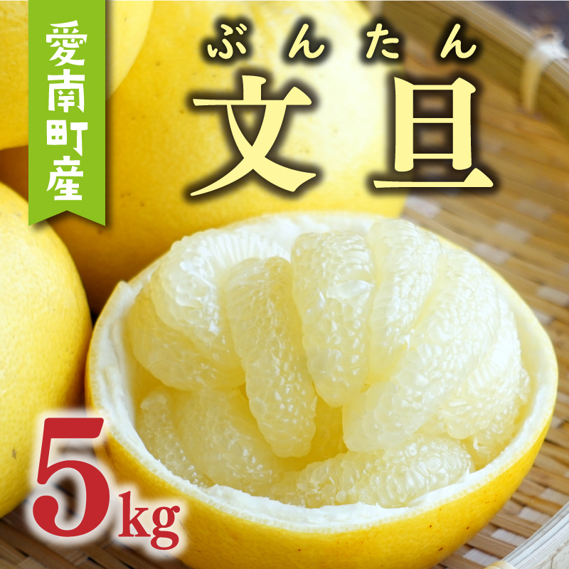 先行予約 文旦 5kg ( Lサイズ 以上 ) 10000円 ぶんたん みかん mikan 蜜柑 ミカン 産地直送 国産 農家直送 糖度 期間限定 数量限定 特産品 ギフト プレゼント ゼリー ジュース アイス 人気 限定