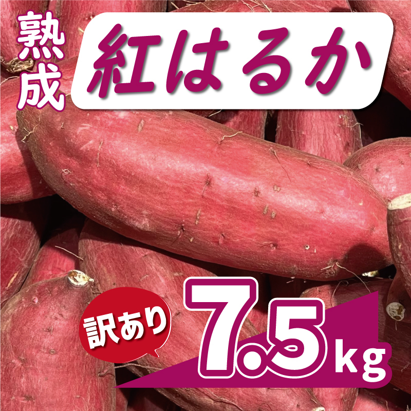 訳あり 熟成 紅はるか 7.5kg サイズ混合 10000円 サツマイモ 焼き芋 干し芋 丸干し 冷凍焼き芋 冷やし焼き芋 やきいも 蜜芋 ほしいも スイートポテト フライドポテト いも天 サイズミックス  甘