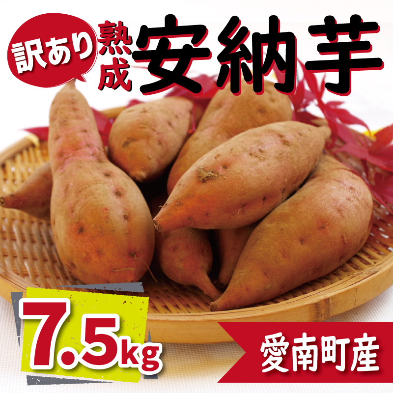 訳あり 熟成 安納芋 7.5kg サイズ混合 10000円 サツマイモ 焼き芋 干し芋 丸干し 冷凍焼き芋 冷やし焼き芋 やきいも 蜜芋 ほしいも スイートポテト フライドポテト いも天 サイズミックス  甘い