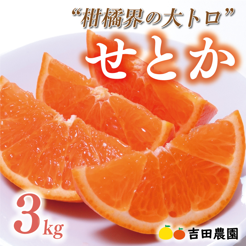 ʌ s\ 󂠂 Ƃ 3kg ݂ ƒp TCY~bNX 14000~  lC uh v~A k ʕ t[c Ԍ Yn Y _ƒ 킯 Yi 