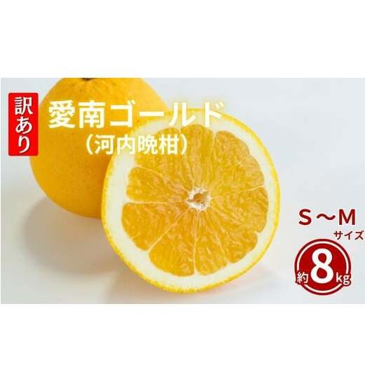 訳あり  愛南ゴールド 8kg  S〜Mサイズ愛媛県愛南町8000果物・フルーツ