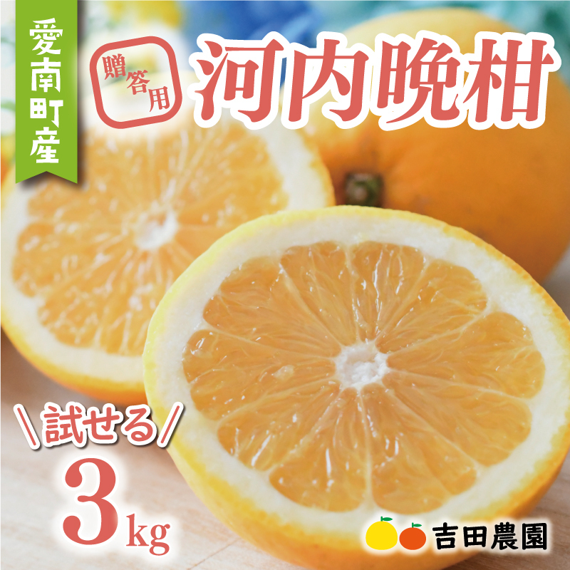 数量限定 先行予約 贈答用 河内晩柑 3kg 7000円 みかん かわちばんかん 愛南ゴールド あいなん ゴールド 夏 文旦 和製 グレープフルーツ 家庭用 産地直送 国産 農家直送 期間限定 ビタミン 健