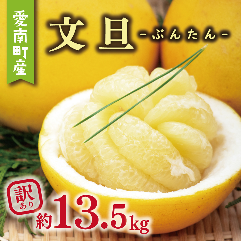 訳あり 文旦 13.5kg 10000円 ぶんたん みかん mikan 蜜柑 ミカン