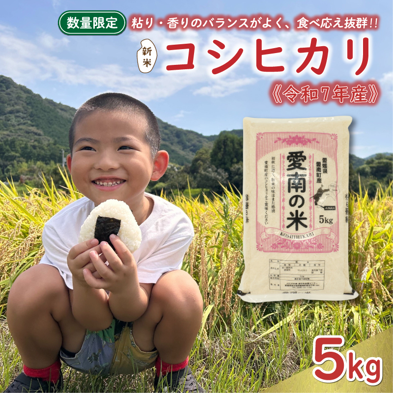 先行予約 新米 令和7年産 コシヒカリ 5kg 13000円 お米 白米 精米 米 こめ 産地直送 国産 農家直送 期間限定 数量限定 特産品 先行 事前 受付 令和7年度産 2025年産 もっちり 粘り 甘み おいしい