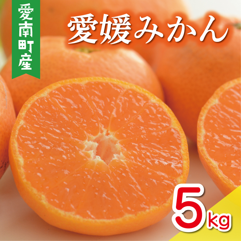 ʌ s\ Q݂ 5kg 10000~ B݂  ݂ mikan  ~J Y Ԍ Yi Mtg v[g Ε Yn _ƒ lC  Â t[c ʕ k