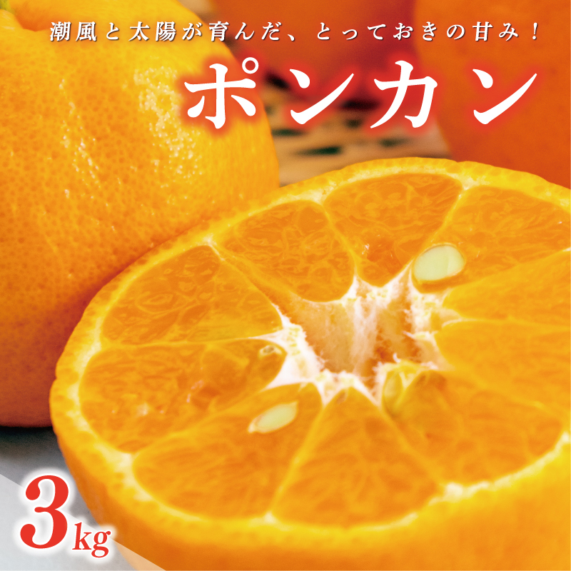 数量限定 先行受付 ポンカン 3kg 10000円 ぽんかん 国産 産地直送 農家直送 特産品 ギフト プレゼント ゼリー ジュース アイス 冷凍 みかん 等に 人気 限定 甘い フルーツ 果物 柑橘 美味しい お