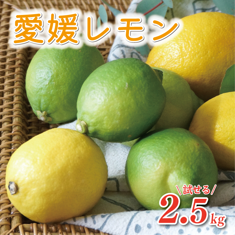 数量限定 先行予約 レモン 2.5kg 7000円 檸檬 国産 愛媛 れもん 期間限定 少量 お試し 特産品 フルーツ 果物 柑橘 人気 おいしい 産地直送 農家直送 ワックス 防腐剤 不使用 あいなんマザーズ 愛