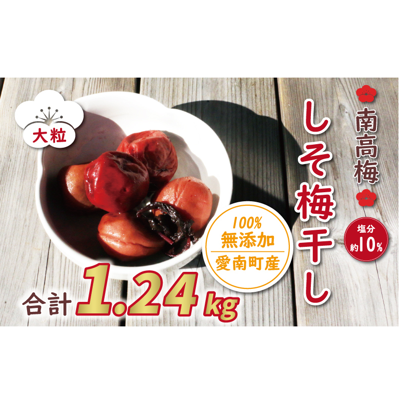 ʌ 썂~ 嗱 Ђ ~ 1.24kg   10% 8000~ I ƒp ~ ~ ߂ڂ  E V\ h 1kg ȏ Y Е  sNX   ۑ Y Yn