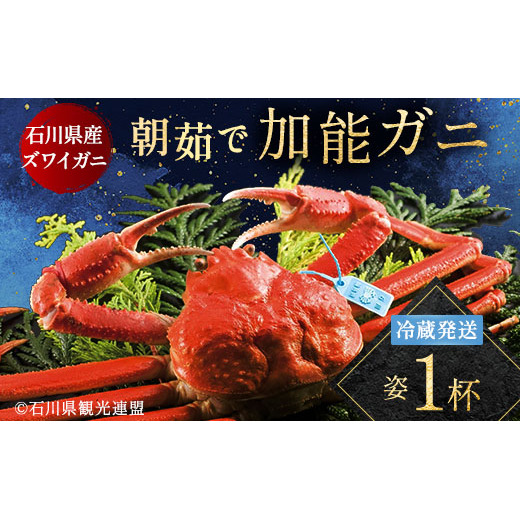 ys\zy①z䥂ŉ\Kjip1tj2025N11{ȍ~ Jj  \I ̂ p {C I YCKj̃IX 蕨 Mtg n O C̍K CY Hi F