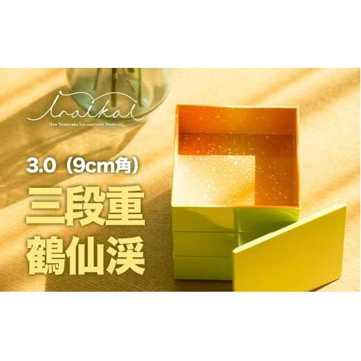 iroikoi 낢 3.0 9cmp Oid ߐk [  P[X  d  ANZT[P[X 蕨 Mtg G ABS { F6P-1324ΐ쌧s12000ߗށEiEH|ȋ 