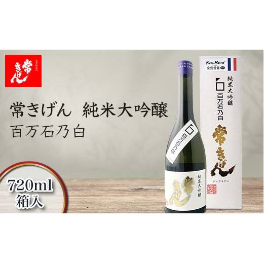 킫 đ SΔT 720ml  Y {   t[eB[ n n  AR[  蕨 Mtg F6P-2966ΐ쌧s13000EAR[{