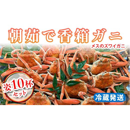 ys\zy①z䥂ōKj X̃YCKj p10tZbg 2025N11{ȍ~ 䥂 Jj  I p I  ΂ 䥂 {C Mtg O C̍K