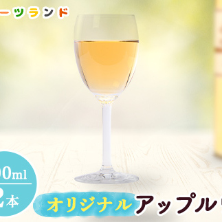 オリジナルアップルワイン 500ml×2本 F6P-1817石川県加賀市15000酒・アルコールワイン