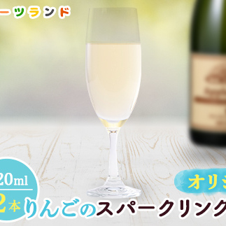オリジナルりんごのスパークリングワイン 750ml×2本 F6P-1819石川県加賀市29000酒・アルコールワイン