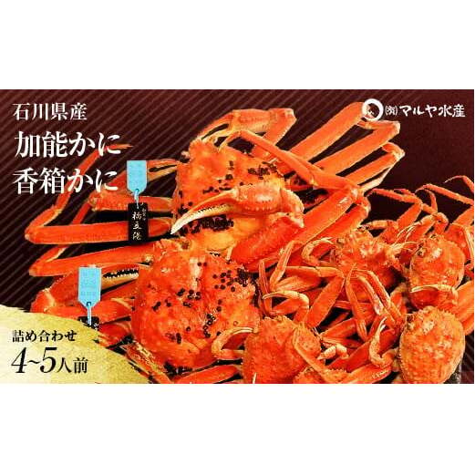 石川県産 加能かに ズワイガニ ( 産地証明タグ付 ) 大サイズ 2匹 + 香箱かに 5匹 詰合せ ( 4〜5人前 ) 11月10日〜12月15日発送 食べ比べ セット ズワイガニ F6P-2766石川県加賀市220000魚介・海産物カ