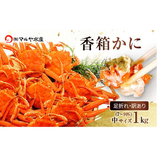 石川県産 香箱蟹 せいこ 訳あり 中サイズ 1kg 7〜9匹 詰合せ 12月16日〜12月26日発送 浜茹で 産地直送 F6P-2777石川県加賀市54000魚介・海産物カニ
