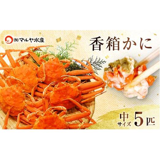 石川県産 香箱蟹 せいこ 中サイズ 5匹 詰合せ 12月16日〜12月26日発送 F6P-2771石川県加賀市54000魚介・海産物カニ