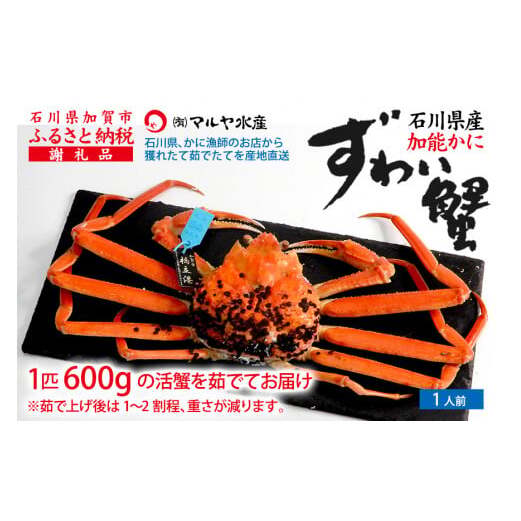 y1216`1226zys\zy①zΐ쌧Y \ YCKj ( Ynؖ^Ot ) 䥂ŏグOd 600g 1C TCY F6P-2748ΐ쌧s96000ECYJj