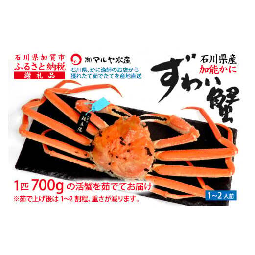 y120`331zys\zy①zΐ쌧Y \ YCKj ( Ynؖ^Ot ) 䥂ŏグOd 700g 1C TCY F6P-2752ΐ쌧s40000ECYJj