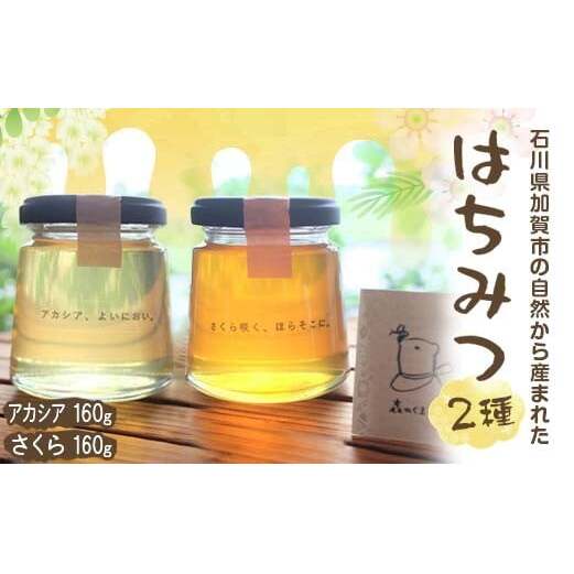 石川県産はちみつ あかしあ160g×さくら160g ハチミツ 蜂蜜 加工品 調味料 食品 F6P-2818石川県加賀市14000鍋セット・総菜・加工食品ジャム・はちみつ