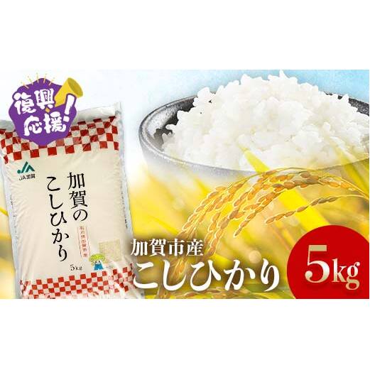 【11月発送】復興応援米 令和7年産こしひかり 5kg 精米 銘柄米 お米 米 ギフト 贈り物 グルメ 食品 復興 震災 コロナ 能登半島地震 復興支援 北陸新幹線 F6P-2920石川県加賀市18000米・パン白米