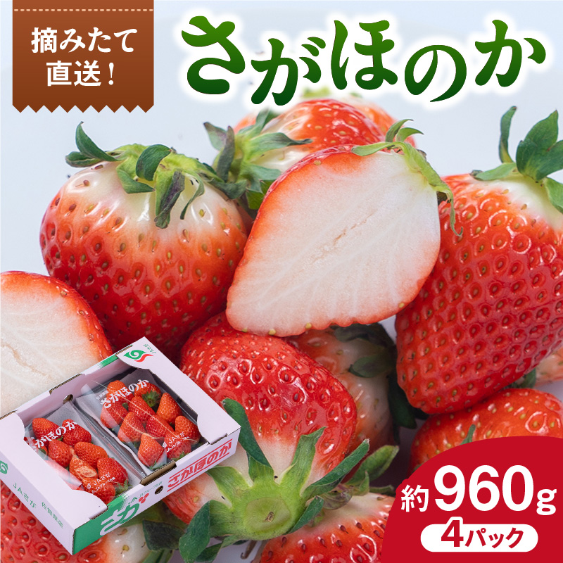 Y ق̂ 4pbN 147-B808ꌧɖs18000ʕEt[c