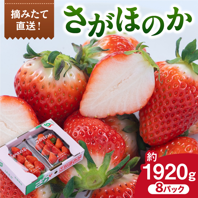 佐賀産 さがほのか 8パック 147-B809佐賀県伊万里市26000果物・フルーツいちご