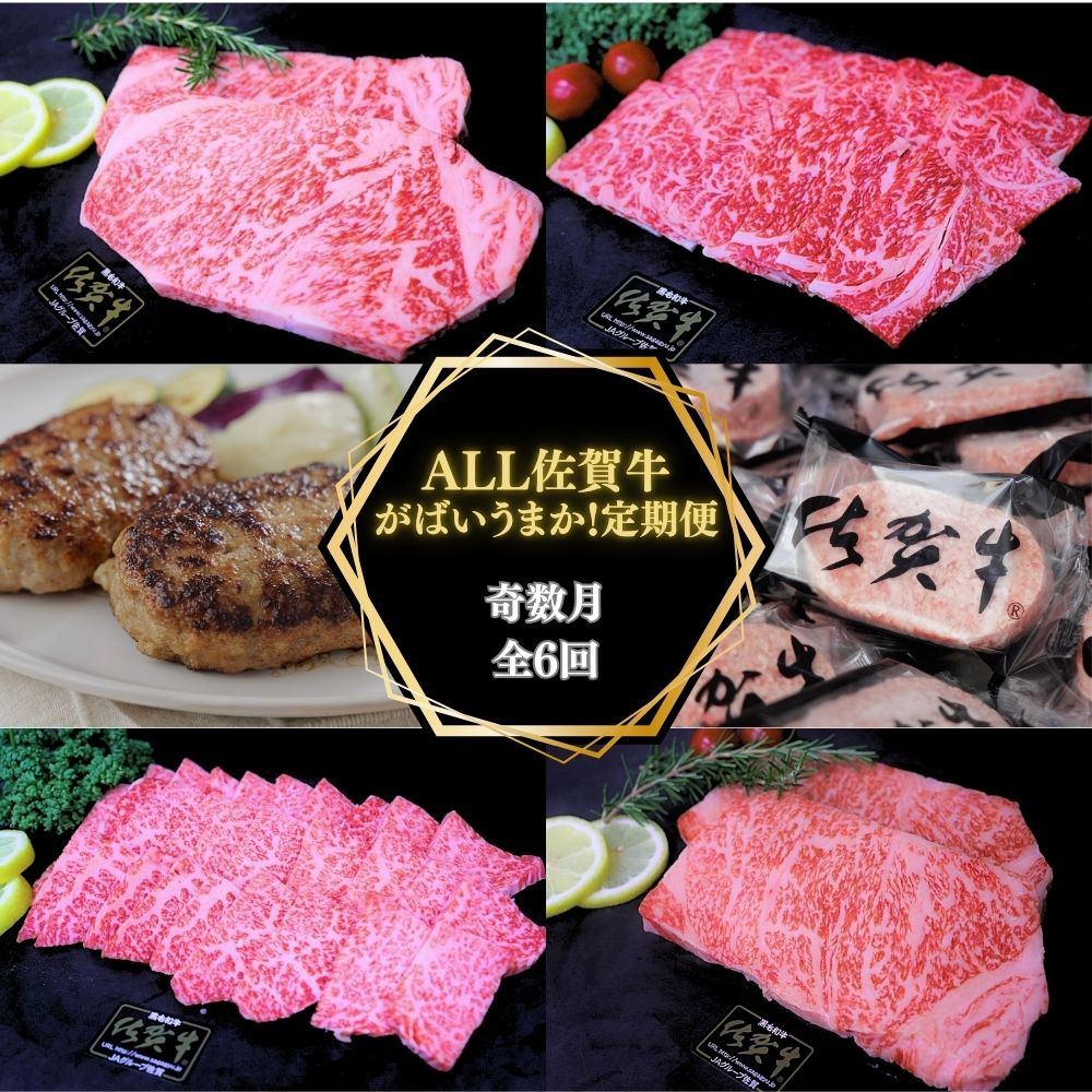 【奇数月に計6回】ALL 佐賀牛 がばいうまか 定期便 191-J1388佐賀県伊万里市133000肉牛肉
