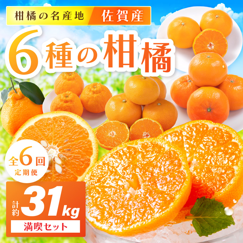 佐賀産 柑橘6種定期便 満喫セット【全6回】999-B862佐賀県伊万里市161000果物・フルーツみかん・柑橘類