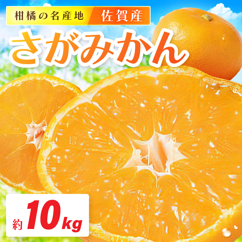 佐賀産 さがみかん 約10kg箱 (伊万里市) 柑橘類 147-B799佐賀県伊万里市25000果物・フルーツみかん・柑橘類