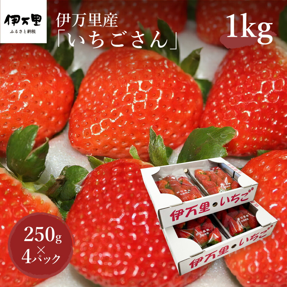 伊万里産「いちごさん」 250g×4 パック 〜鶴田農園〜 046-B832佐賀県伊万里市15000果物・フルーツいちご