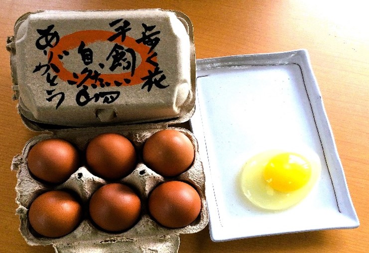 歩く花 たまご 卵 6個入り×2箱 3回定期便 999-B841佐賀県伊万里市48000卵・乳製品卵(鶏、烏骨鶏等)