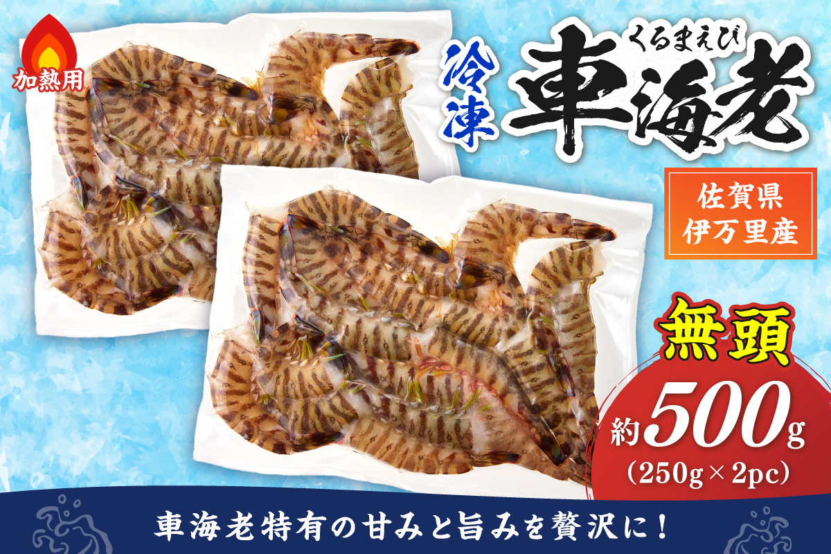 伊万里産 無頭 冷凍車海老(加熱用、250gx2pc) 010-C195佐賀県伊万里市16000魚介・海産物エビ