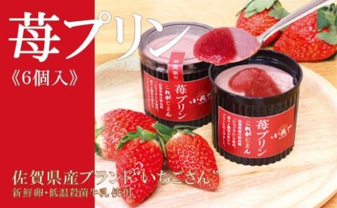 ꌧYuhgh100%gp 䕃v6 080-F169ꌧɖs16000َqEXC[cvE[[