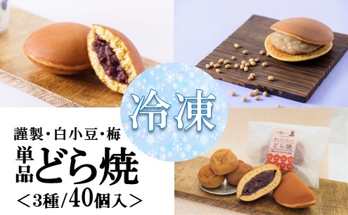 yPiziⓀjǂĂiސEE~j 3/40 080-F191ꌧɖs49000َqEXC[c̑ aَq