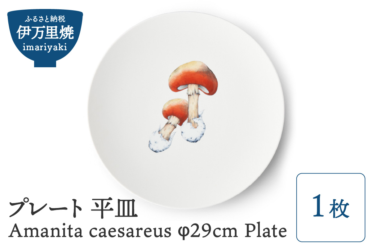 yɖāzv[g M Amanita caesareus 29cm Plate 028-H835ꌧɖs79000G݁EpiHEOX