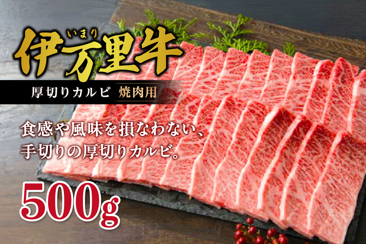 ɖ ؂ Jr ēp 500g 001-J246ꌧɖs21000