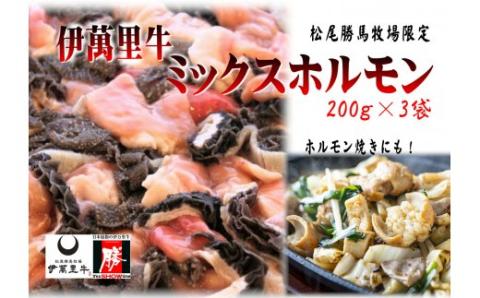 伊万里牛ミックスホルモン 約600g ホルモンたれ付 007-J1456佐賀県伊万里市15000肉牛肉