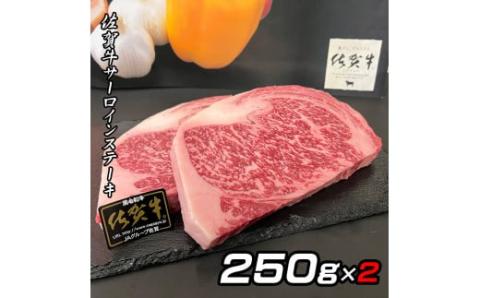 佐賀牛A5サーロインステーキ250g×2枚 161-J775佐賀県伊万里市32000肉牛肉