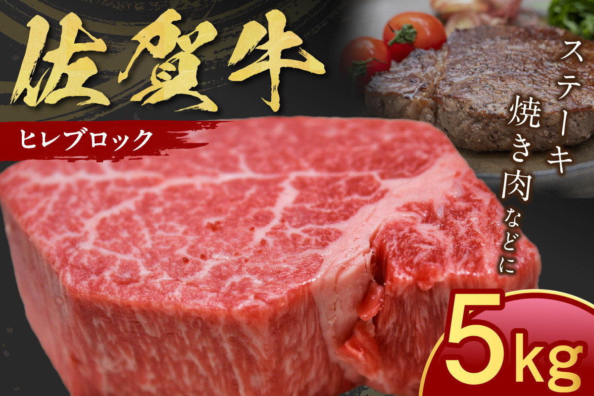 佐賀牛 ヒレ ブロック 5kg 100-J797佐賀県伊万里市304000肉牛肉