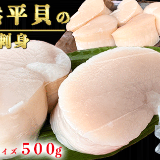 【先行予約】むき身 セット 約500g 冷凍 詰め合わせ 特大サイズ 平貝 岬だより 魚介 海鮮 貝 出汁 愛知県 南知多町愛知県南知多町30000魚介・海産物その他 魚介・海産物